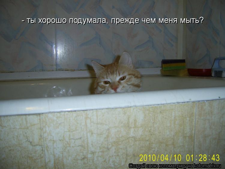 - ты хорошо подумала, прежде чем меня мыть?... Котоматрица: - ты хорошо подумала, прежде чем меня мыть?