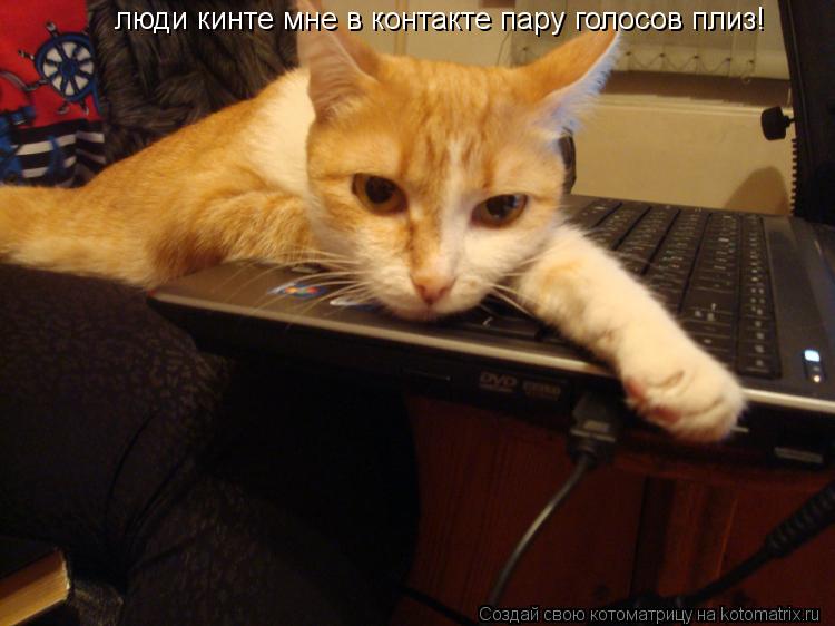 люди кинте мне в контакте пару голосов плиз!... Котоматрица: люди кинте мне в контакте пару голосов плиз!