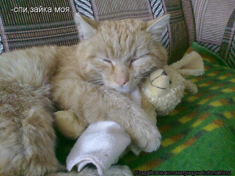 -спи,зайка моя..... Котоматрица: -спи,зайка моя..