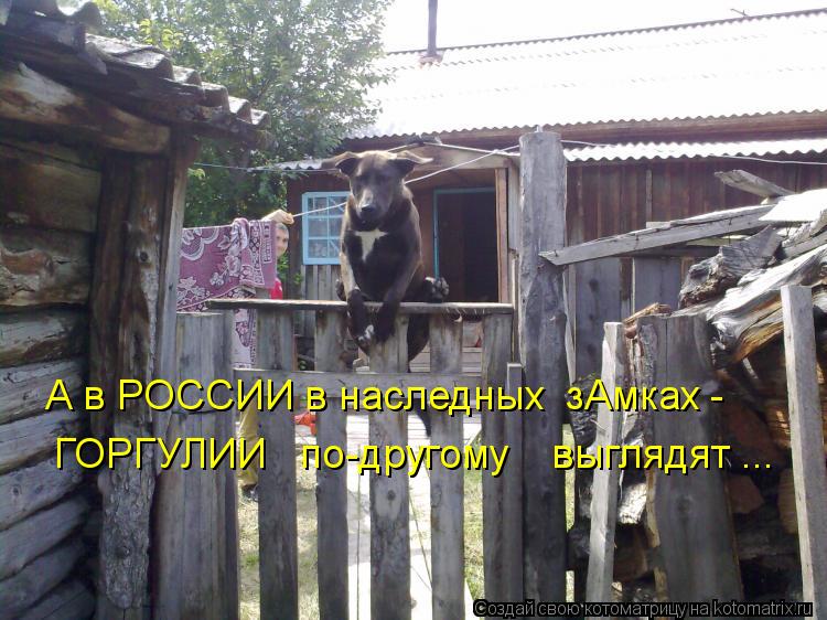 А в РОССИИ в наследных зАмках - ГОРГУЛИИ по-другому выглядят ...... Котоматрица: А в РОССИИ в наследных зАмках - ГОРГУЛИИ по-другому выглядят ...
