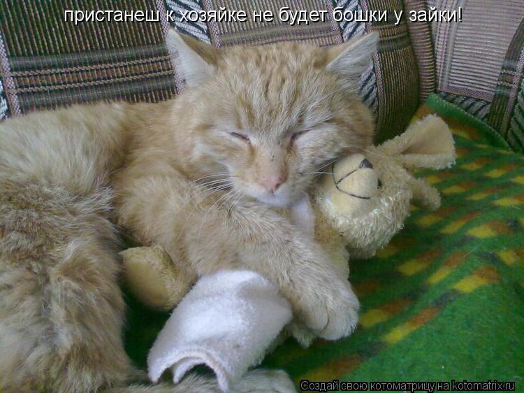 пристанеш к хозяйке не будет бошки у зайки!... Котоматрица: пристанеш к хозяйке не будет бошки у зайки!