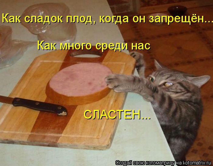 Как сладок плод, когда он запрещён... Как много среди нас СЛАСТЕН...... Котоматрица: Как сладок плод, когда он запрещён... Как много среди нас СЛАСТЕН...