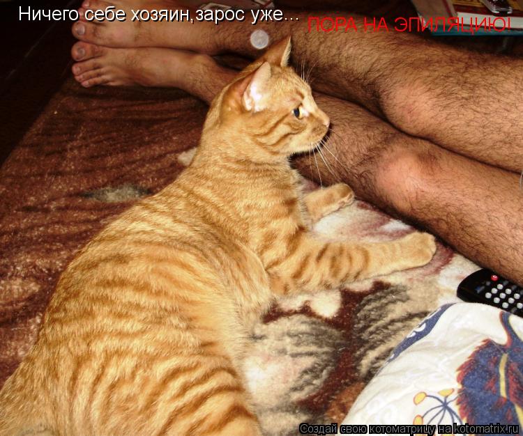 Ничего себе хозяин,зарос уже ... ПОРА НА ЭПИЛЯЦИЮ!... Котоматрица: Ничего себе хозяин,зарос уже ... ПОРА НА ЭПИЛЯЦИЮ!