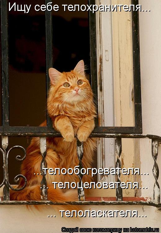 Ищу себе телохранителя... ...телообогревателя... ... телоцелователя... ... телоласкателя...... Котоматрица: Ищу себе телохранителя... ...телообогревателя... ... телоцелователя... ... телоласкателя...