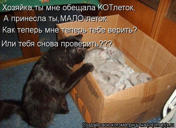 Хозяйка,ты мне обещала КОТлеток, А принесла ты,МАЛО-леток. Как теперь мне теперь тебе верить? Или теб... Котоматрица: Хозяйка,ты мне обещала КОТлеток, А принесла ты,МАЛО-леток. Как теперь мне теперь тебе верить? Или тебя снова проверить???