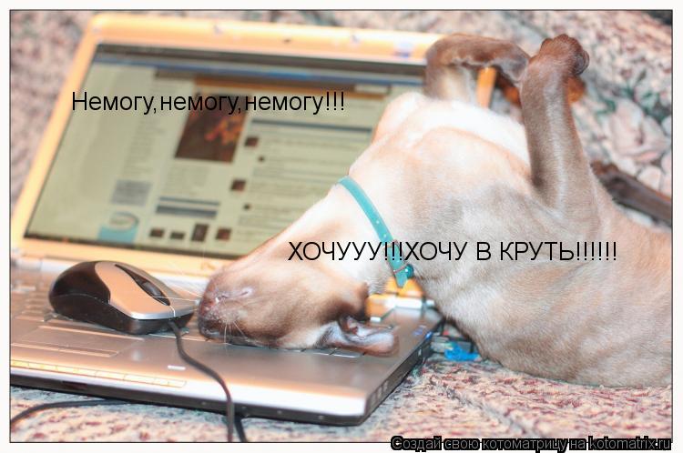 Немогу,немогу,немогу!!! ХОЧУУУ!!!ХОЧУ В КРУТЬ!!!!!!... Котоматрица: Немогу,немогу,немогу!!! ХОЧУУУ!!!ХОЧУ В КРУТЬ!!!!!!