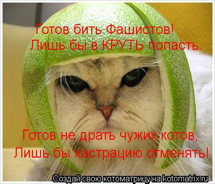 Готов бить Фашистов! Лишь бы в КРУТЬ попасть. Готов не драть чужих котов, Лишь бы кастрацию отменять!... Котоматрица: Готов бить Фашистов! Лишь бы в КРУТЬ попасть. Готов не драть чужих котов, Лишь бы кастрацию отменять!