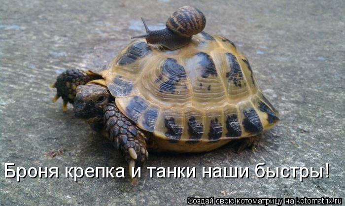 Броня крепка и танки наши быстры!... Котоматрица: Броня крепка и танки наши быстры!