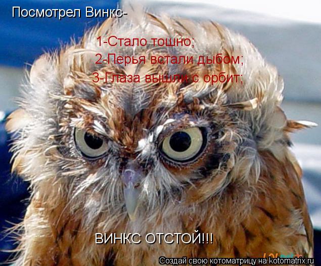 1-Стало тошно; 2-Перья встали дыбом; 3-Глаза вышли с орбит; Посмотрел Винкс- ВИНКС ОТСТОЙ!!!... Котоматрица: 1-Стало тошно; 2-Перья встали дыбом; 3-Глаза вышли с орбит; Посмотрел Винкс- ВИНКС ОТСТОЙ!!!