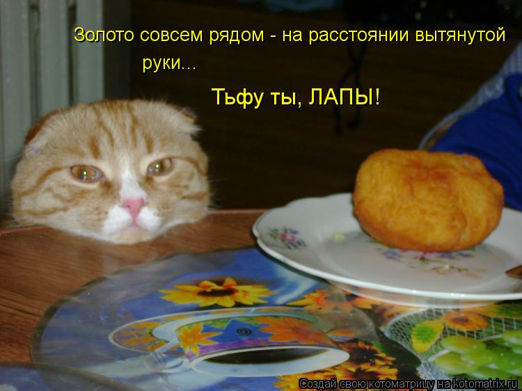 Золото совсем рядом - на расстоянии вытянутой руки... Тьфу ты, ЛАПЫ!... Котоматрица: Золото совсем рядом - на расстоянии вытянутой руки... Тьфу ты, ЛАПЫ!