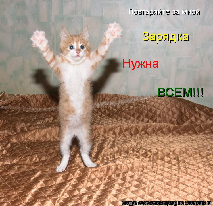 Повтаряйте за мной Зарядка Нужна ВСЕМ!!!... Котоматрица: Повтаряйте за мной Зарядка Нужна ВСЕМ!!!