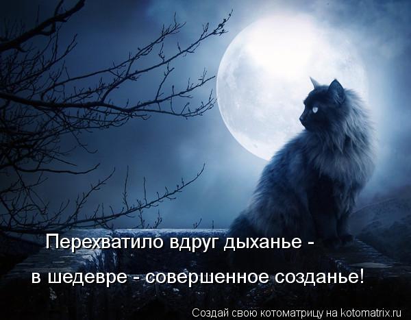 Перехватило вдруг дыханье - в шедевре - совершенное созданье!... Котоматрица: Перехватило вдруг дыханье - в шедевре - совершенное созданье!