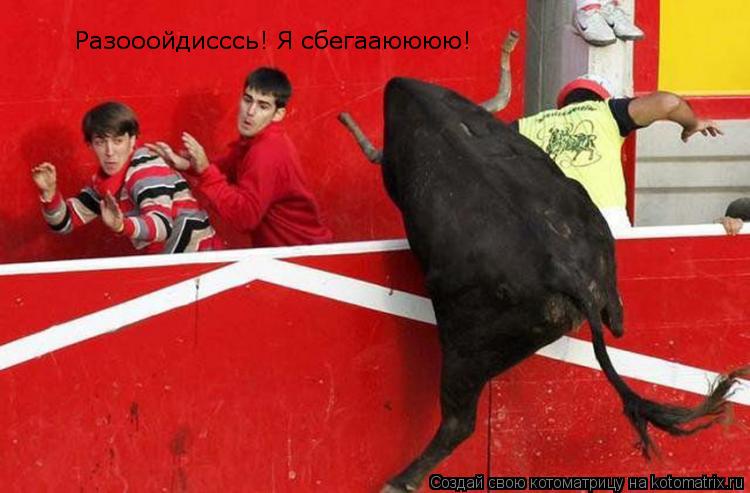 Разооойдисссь! Я сбегааюююю!... Котоматрица: Разооойдисссь! Я сбегааюююю!