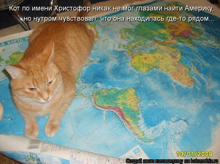 Кот по имени Христофор никак не мог глазами найти Америку, но нутром чувствовал, что она находилась г... Котоматрица: Кот по имени Христофор никак не мог глазами найти Америку, но нутром чувствовал, что она находилась где-то рядом...