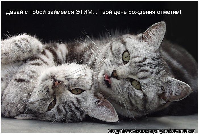 Давай с тобой займемся ЭТИМ... Твой день рождения отметим!... Котоматрица: Давай с тобой займемся ЭТИМ... Твой день рождения отметим!