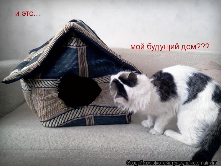 и это... мой будущий дом???... Котоматрица: и это... мой будущий дом???