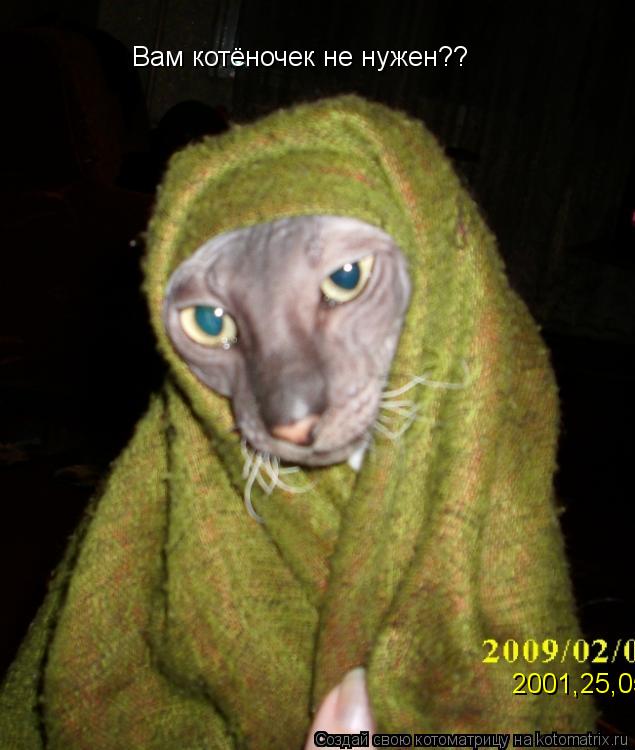 Вам котёночек не нужен?? 2001,25,05... Котоматрица: Вам котёночек не нужен?? 2001,25,05
