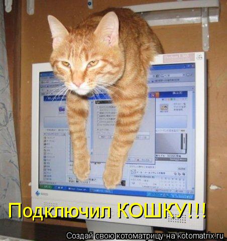 Подключил КОШКУ!!!... Котоматрица: Подключил КОШКУ!!!