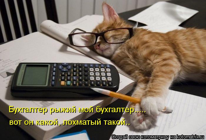 Бухгалтер рыжий мой бухгалтер..... вот он какой, лохматый такой..... Котоматрица: Бухгалтер рыжий мой бухгалтер..... вот он какой, лохматый такой..