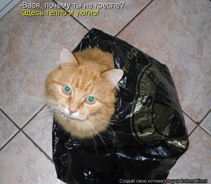 -Вася, почему ты не кресле? -Здесь тепло и уютно!... Котоматрица: -Вася, почему ты не кресле? -Здесь тепло и уютно!