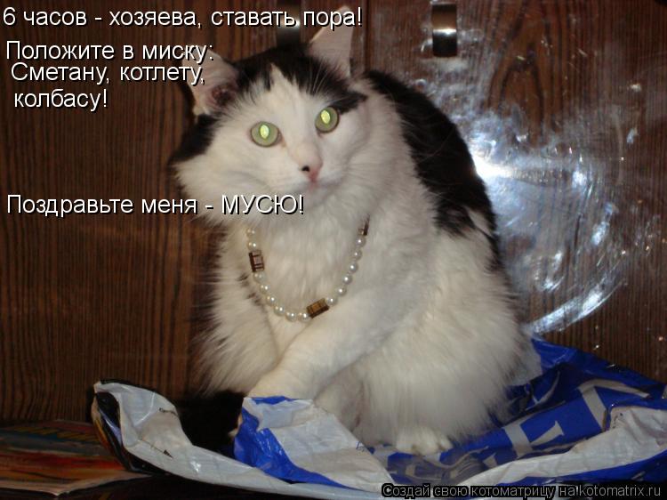 6 часов - хозяева, ставать пора! Положите в миску: Сметану, котлету, колбасу! Поздравьте меня - МУСЮ!... Котоматрица: 6 часов - хозяева, ставать пора! Положите в миску: Сметану, котлету, колбасу! Поздравьте меня - МУСЮ!