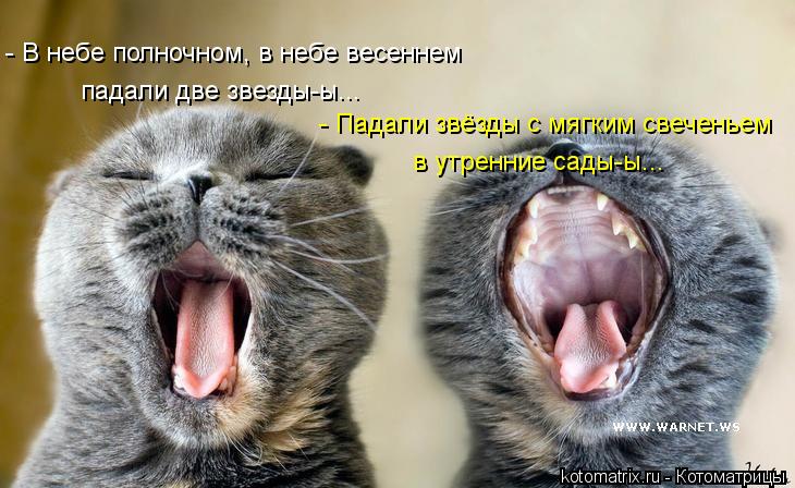 - В небе полночном, в небе весеннем падали две звезды-ы... - Падали звёзды с мягким свеченьем в утрен... Котоматрица: - В небе полночном, в небе весеннем падали две звезды-ы... - Падали звёзды с мягким свеченьем в утренние сады-ы...