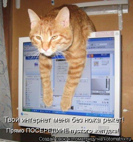 Твой интернет меня без ножа режет! Прямо ПОСЕРЕДИНЕ пустого желудка!... Котоматрица: Твой интернет меня без ножа режет! Прямо ПОСЕРЕДИНЕ пустого желудка!