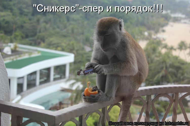 "Сникерс"-спер и порядок!!!... Котоматрица: "Сникерс"-спер и порядок!!!