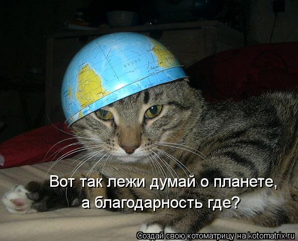 Вот так лежи думай о планете, а благодарность где?... Котоматрица: Вот так лежи думай о планете, а благодарность где?