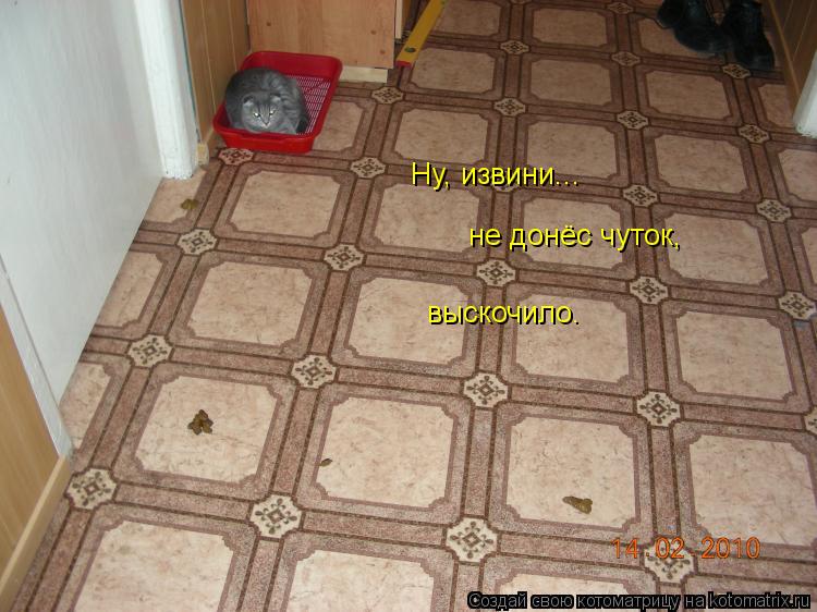 выскочило. Ну, извини... не донёс чуток,... Котоматрица: выскочило. Ну, извини... не донёс чуток,