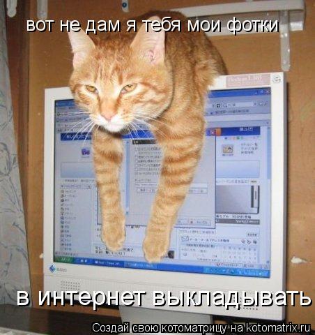 вот не дам я тебя мои фотки в интернет выкладывать!... Котоматрица: вот не дам я тебя мои фотки в интернет выкладывать!