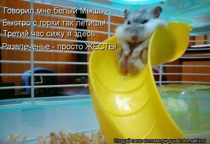 Говорил мне белый Мышь - Быстро с горки так летишь! Третий час сижу я здесь... Развлеченье - просто Ж... Котоматрица: Говорил мне белый Мышь - Быстро с горки так летишь! Третий час сижу я здесь... Развлеченье - просто ЖЕСТЬ!
