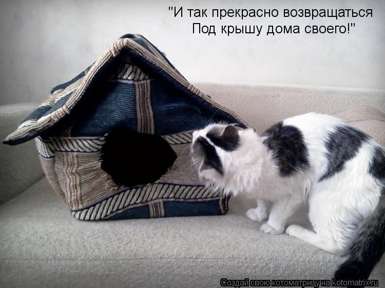 "И так прекрасно возвращаться Под крышу дома своего!"... Котоматрица: "И так прекрасно возвращаться Под крышу дома своего!"
