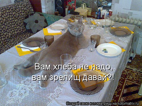 Вам хлеба не надо, вам зрелищ давай?!... Котоматрица: Вам хлеба не надо, вам зрелищ давай?!