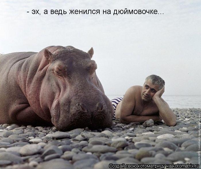 - эх, а ведь женился на дюймовочке...... Котоматрица: - эх, а ведь женился на дюймовочке...