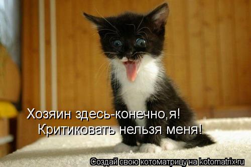 Хозяин здесь-конечно,я! Критиковать нельзя меня!... Котоматрица: Хозяин здесь-конечно,я! Критиковать нельзя меня!