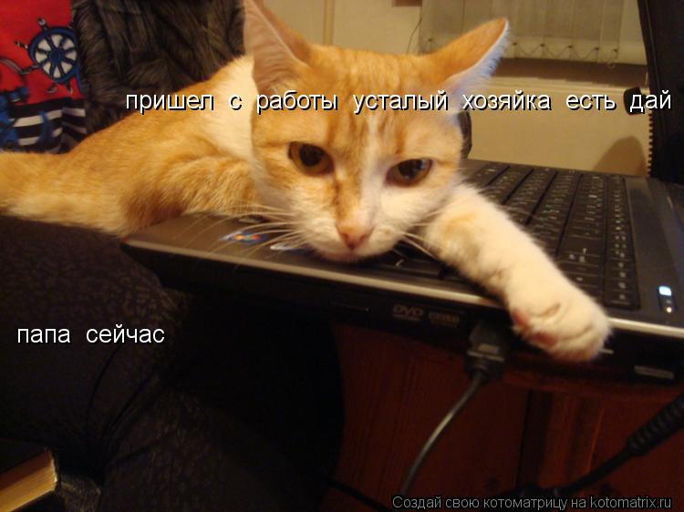 пришел с работы усталый хозяйка есть дай папа сейчас... Котоматрица: пришел с работы усталый хозяйка есть дай папа сейчас