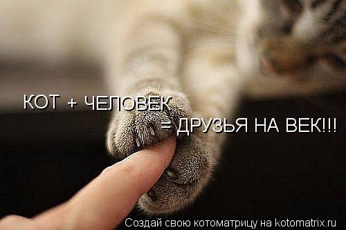 КОТ + ЧЕЛОВЕК = ДРУЗЬЯ НА ВЕК!!!... Котоматрица: КОТ + ЧЕЛОВЕК = ДРУЗЬЯ НА ВЕК!!!