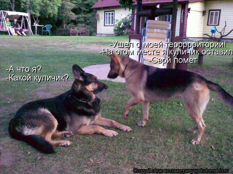 -Ушел с моей террррритории! -А что я? -На этом месте я куличик оставил -Какой куличик? -Свой помет... Котоматрица: -Ушел с моей террррритории! -А что я? -На этом месте я куличик оставил -Какой куличик? -Свой помет