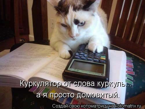 Куркулятор от слова куркуль... а я просто домовитый.... Котоматрица: Куркулятор от слова куркуль... а я просто домовитый.