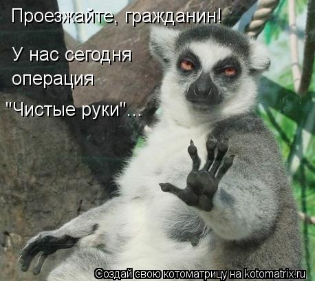 Проезжайте, гражданин! У нас сегодня операция "Чистые руки"...... Котоматрица: Проезжайте, гражданин! У нас сегодня операция "Чистые руки"...