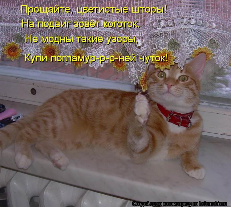 Прощайте, цветистые шторы! На подвиг зовёт коготок. Не модны такие узоры, Купи погламур-р-р-ней чуток... Котоматрица: Прощайте, цветистые шторы! На подвиг зовёт коготок. Не модны такие узоры, Купи погламур-р-р-ней чуток!