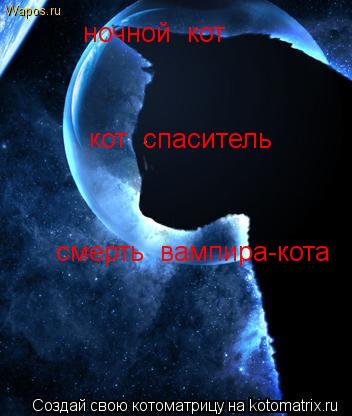 ночной кот смерть вампира-кота кот спаситель... Котоматрица: ночной кот смерть вампира-кота кот спаситель