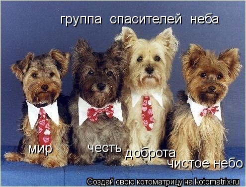 группа спасителей неба мир честь доброта чистое небо... Котоматрица: группа спасителей неба мир честь доброта чистое небо