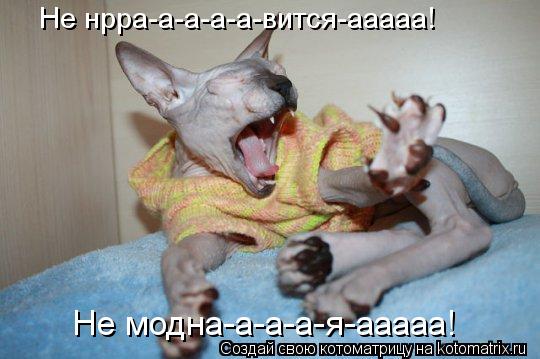 Не нрра-а-а-а-а-вится-ааааа! Не модна-а-а-а-я-ааааа!... Котоматрица: Не нрра-а-а-а-а-вится-ааааа! Не модна-а-а-а-я-ааааа!