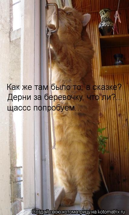 Как же там было то, в сказке? Дерни за беревочку, что ли?... щассс попробуем...... Котоматрица: Как же там было то, в сказке? Дерни за беревочку, что ли?... щассс попробуем...