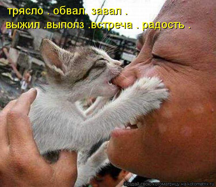 трясло . обвал. завал . выжил .выполз .встреча . радость .... Котоматрица: трясло . обвал. завал . выжил .выполз .встреча . радость .