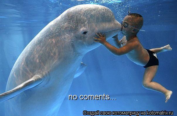 no coments...... Котоматрица: no coments...
