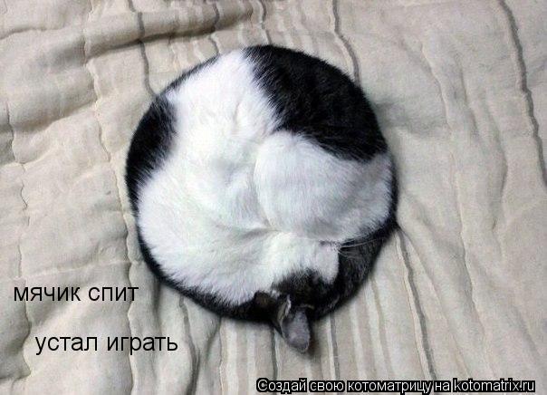 мячик спит устал играть... Котоматрица: мячик спит устал играть