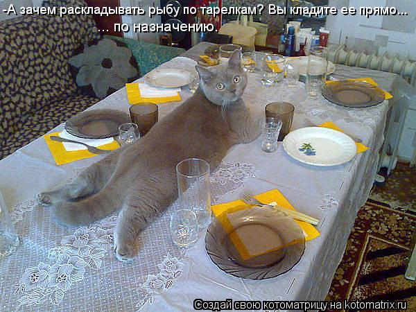 -А зачем раскладывать рыбу по тарелкам? Вы кладите ее прямо... ... по назначению.... Котоматрица: -А зачем раскладывать рыбу по тарелкам? Вы кладите ее прямо... ... по назначению.